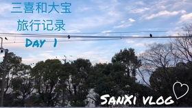 环球吃麻瓜,揭秘麻瓜世界的奇妙之旅