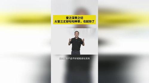 吃瓜新年2025,新年热点事件大盘点