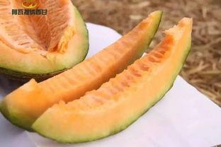 福福田吃瓜,揭秘娱乐圈幕后故事