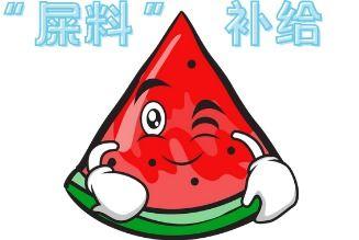 小叮当现场吃瓜