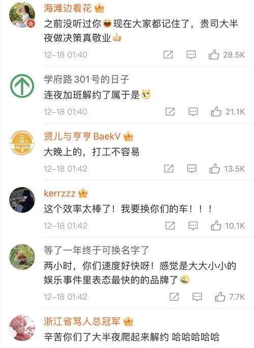 吃瓜过瘾小说,吃瓜群众的狂欢盛宴