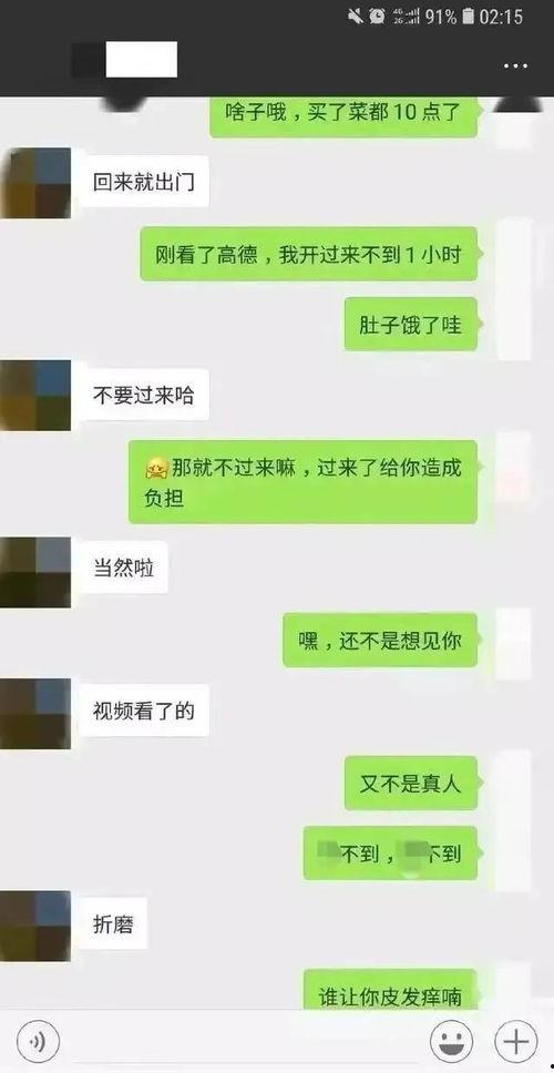 假吃瓜聊天记录