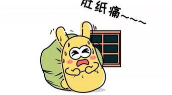 吃瓜群众看傻瓜吃瓜,傻瓜吃瓜的欢乐时光