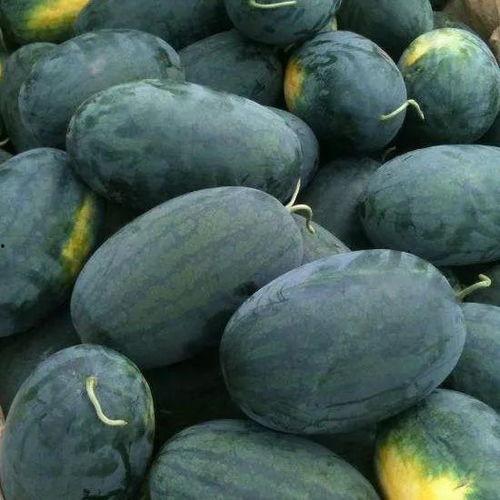 镜湖区吃瓜,品味生活，畅享清凉