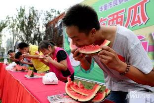 吃瓜大赛免费观看,免费观看，吃瓜大赛狂欢来袭！