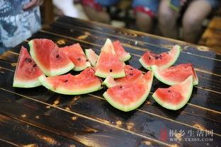 桐乡本地吃瓜,吃瓜群众的欢乐盛宴