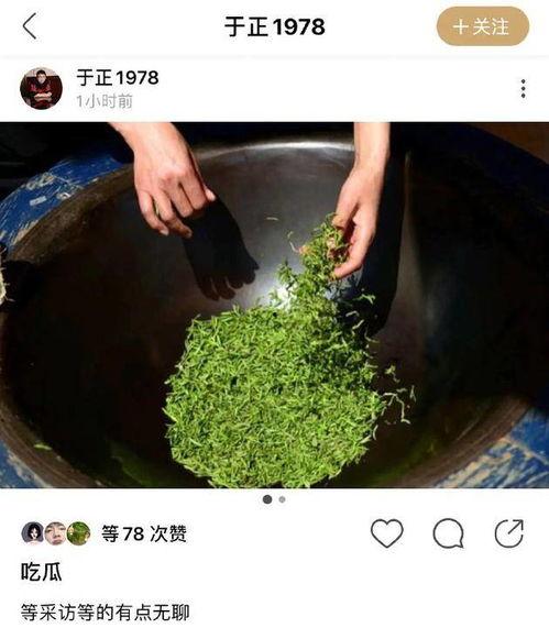 吃瓜金绿茶,网络红人的崛起与争议