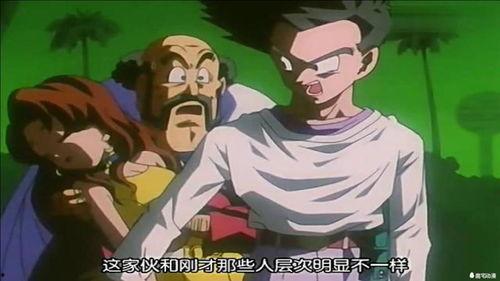 龙珠瓜 怎么吃,解锁美味新体验