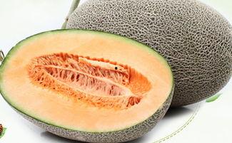 例假来了可以吃哈密瓜