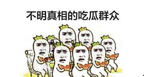 吃瓜群众战斗,揭秘网络舆论场的风云变幻