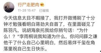 冷宫吃瓜指南,宫廷秘史中的吃瓜指南