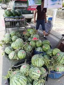 西昌吃瓜事件网红,网红引发的网络狂欢与反思