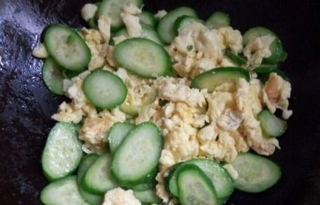 荷兰厄瓜多尔吃瓜,一场跨国“吃瓜”盛宴