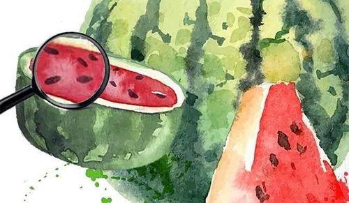 雷子吃瓜总结,揭秘娱乐圈幕后真相