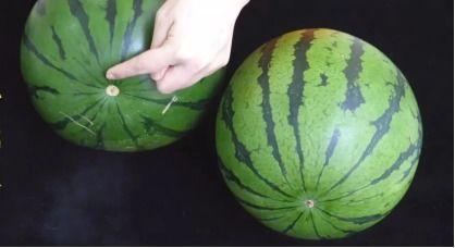 吃陷的瓜,探寻吃陷瓜的独特魅力