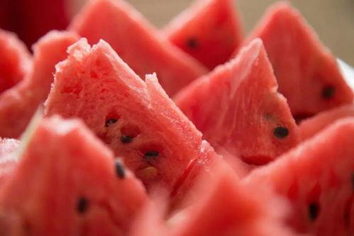 蕉下冷静吃瓜,冷静吃瓜，夏日炎炎话家常