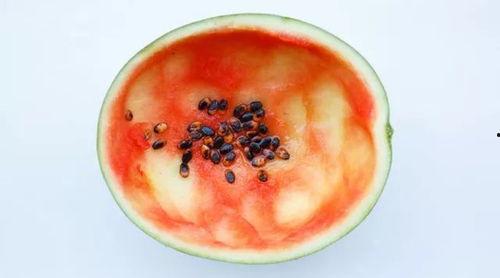 勺子吃瓜神器图片,轻松解锁夏日美味新姿势