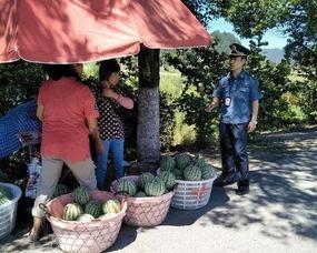 阳台吃瓜群众系列,揭秘社区生活百态
