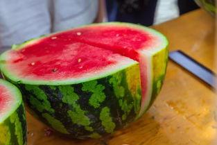 wagas 吃瓜椰子,吃瓜椰子，夏日清凉新体验