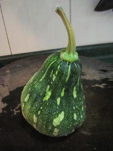 椰汁吃瓜,夏日消暑美食之旅