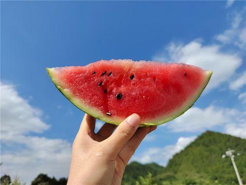 吃瓜吃熟了,揭秘娱乐圈幕后真相