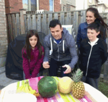 小猪吃瓜动图gif,萌态可掬，欢乐无限