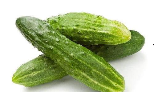 吃蜜瓜喝水苦口,揭秘吃蜜瓜喝水苦口之谜