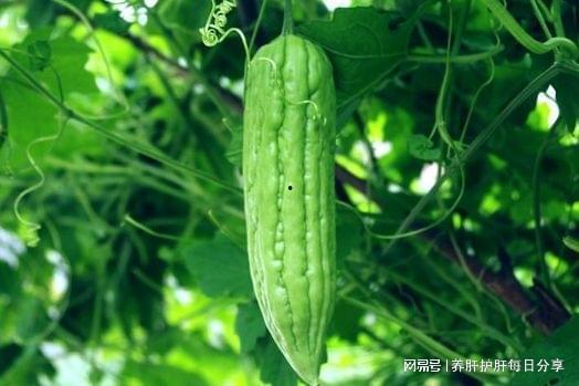 新乐中医院吃瓜,吃瓜群众见证医疗奇迹