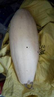 吃瓜大白14,一场关于瓜果的狂欢盛宴