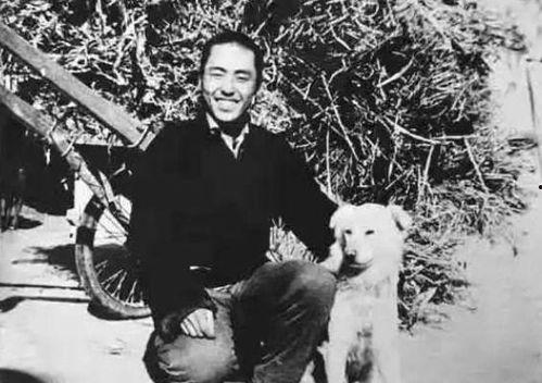 张艺谋现场吃瓜事件,揭秘导演的“意外”瞬间