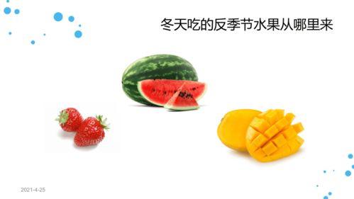 88页ppt吃瓜,一场视觉与知识的盛宴